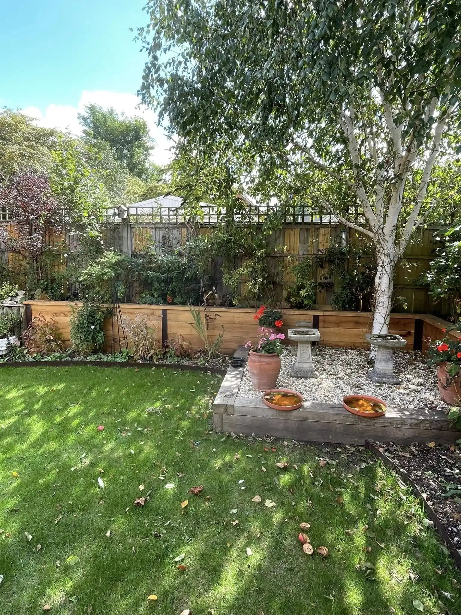 Finished landscaped border around a birch tree with timber sleeper edging, gravel feature and planting.