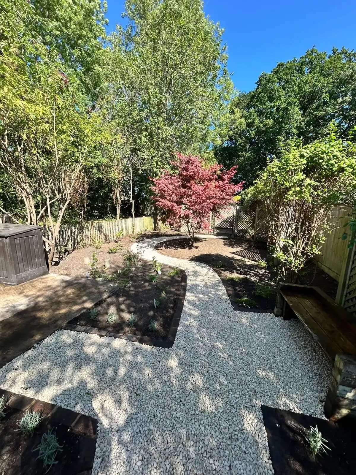 Landscaped garden with a curved white gravel path, fresh planting beds and a red acer tree.