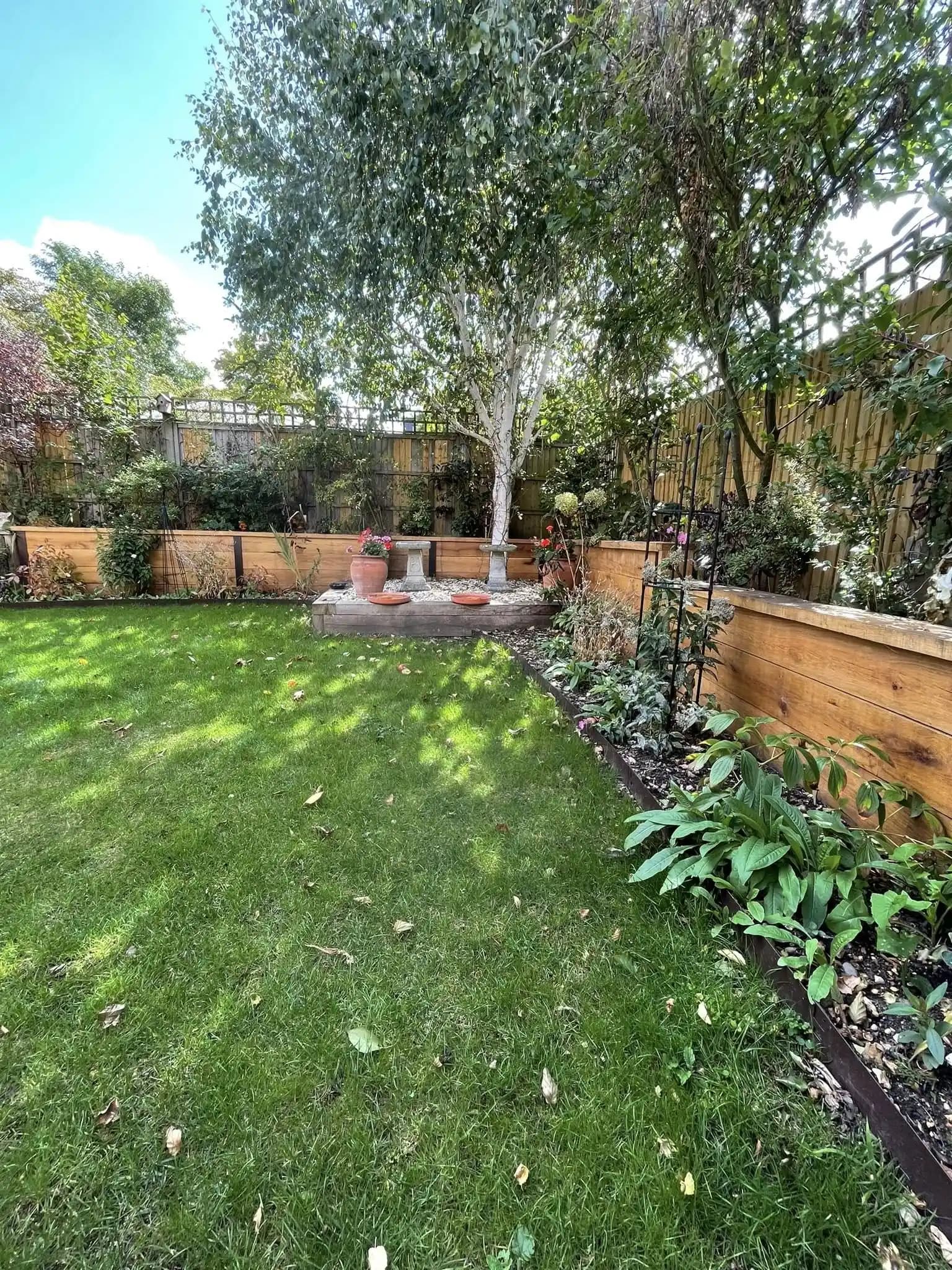 Neat lawn framed by raised timber sleeper borders, planting and a central birch tree in a landscaped garden.