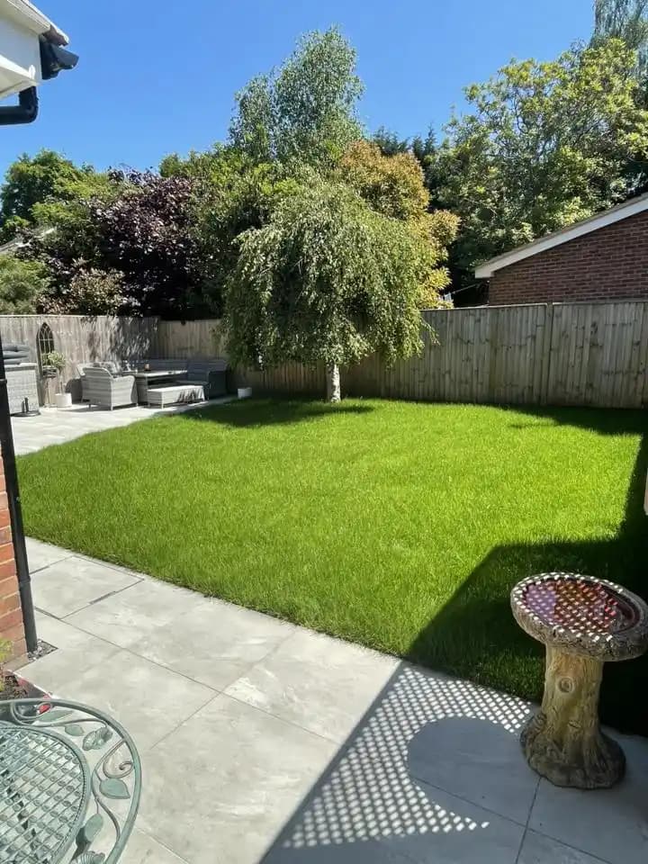Garden clearance around a birch tree with tools, membrane and timber edging ready for new raised beds.
