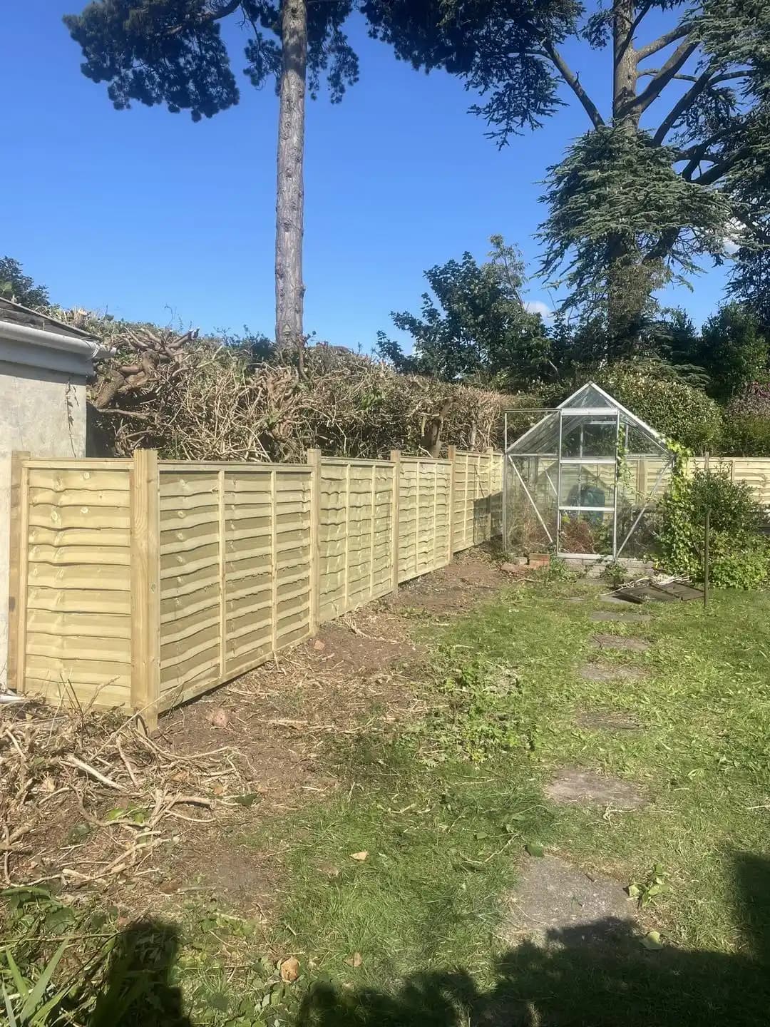 New timber lap panel fence installed beside a greenhouse and garden border.