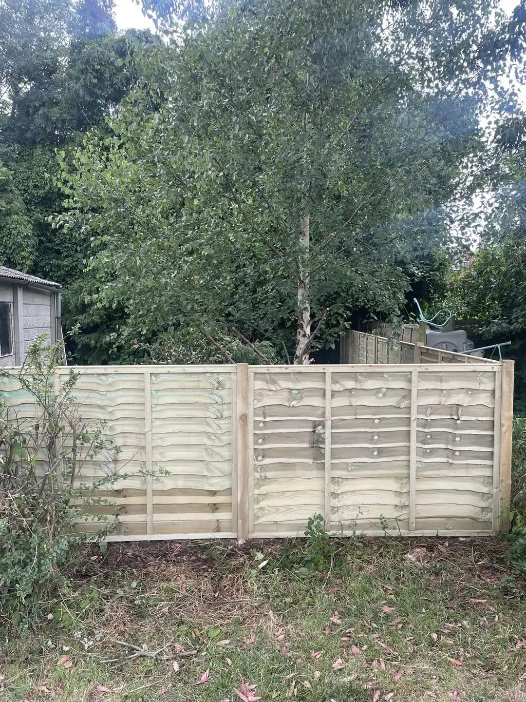 New lap panel timber fence with posts installed along a garden boundary.