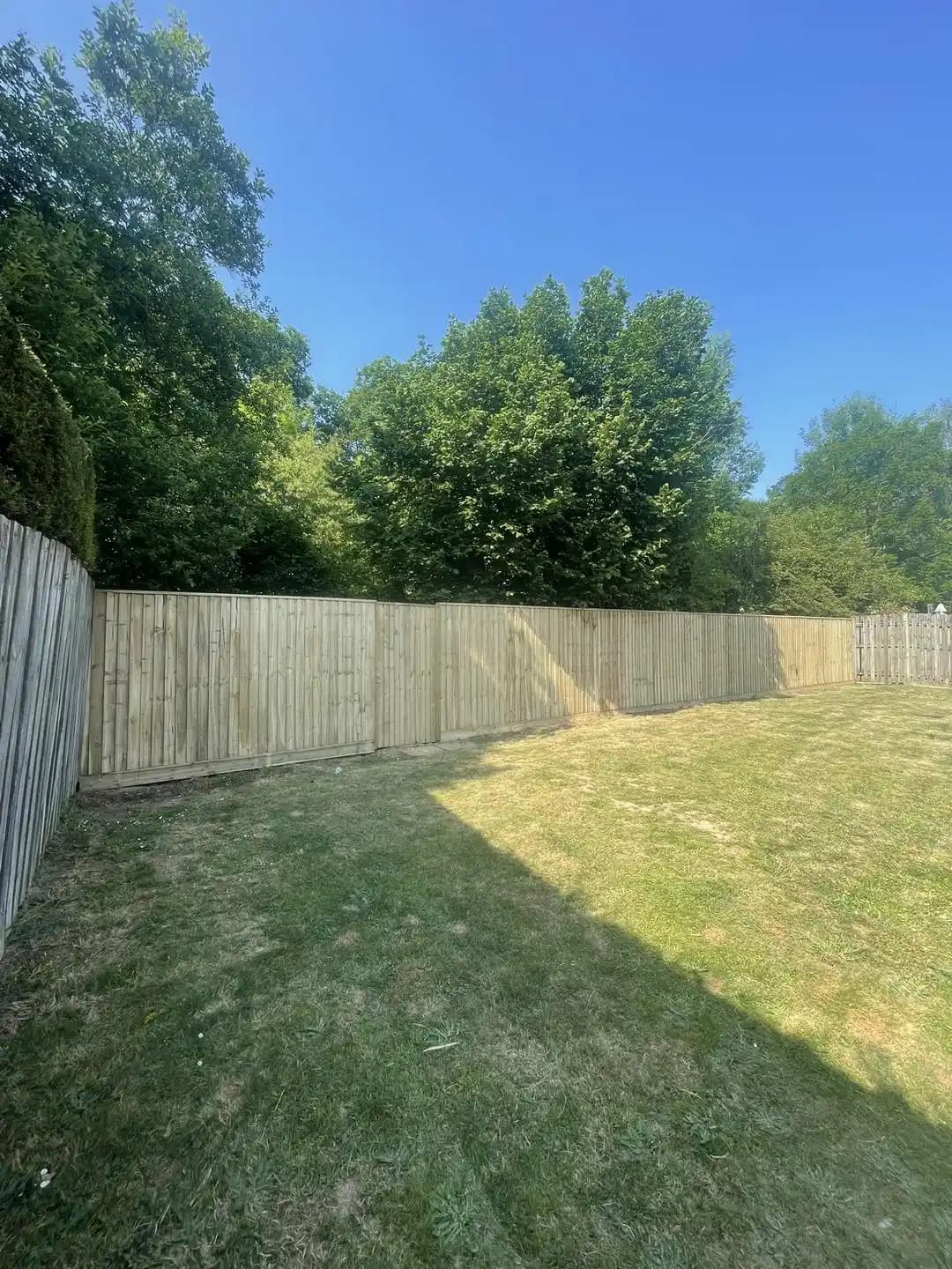Long run of closeboard timber fencing enclosing a large lawn and garden boundary.