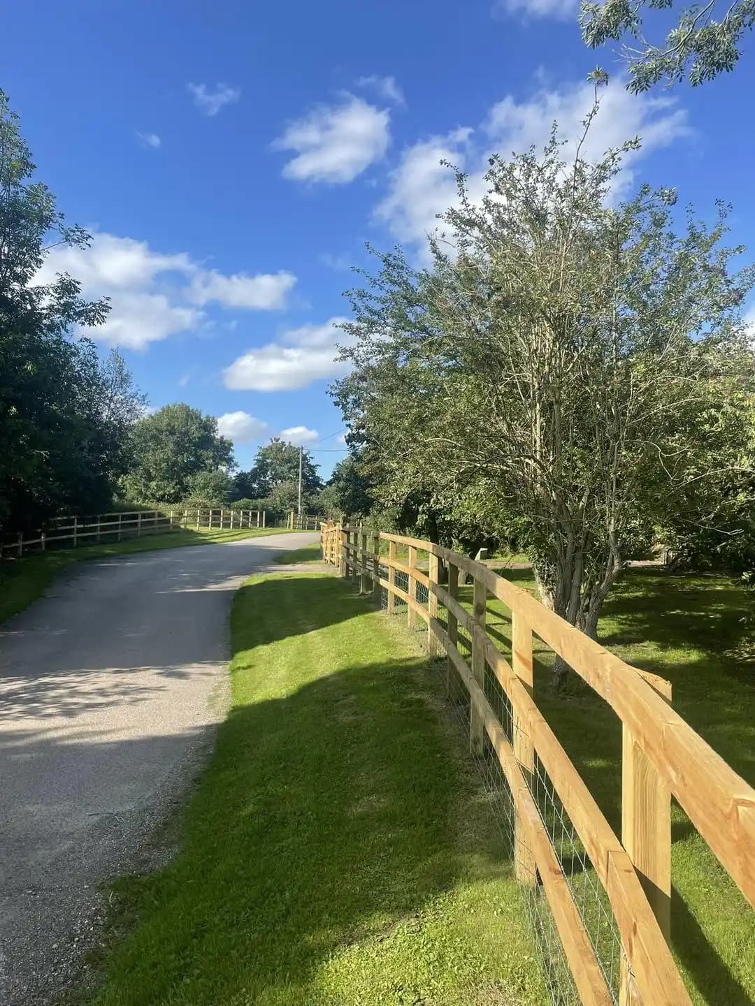 Long post and rail fence following a quiet rural road beside mature trees and grass verges.