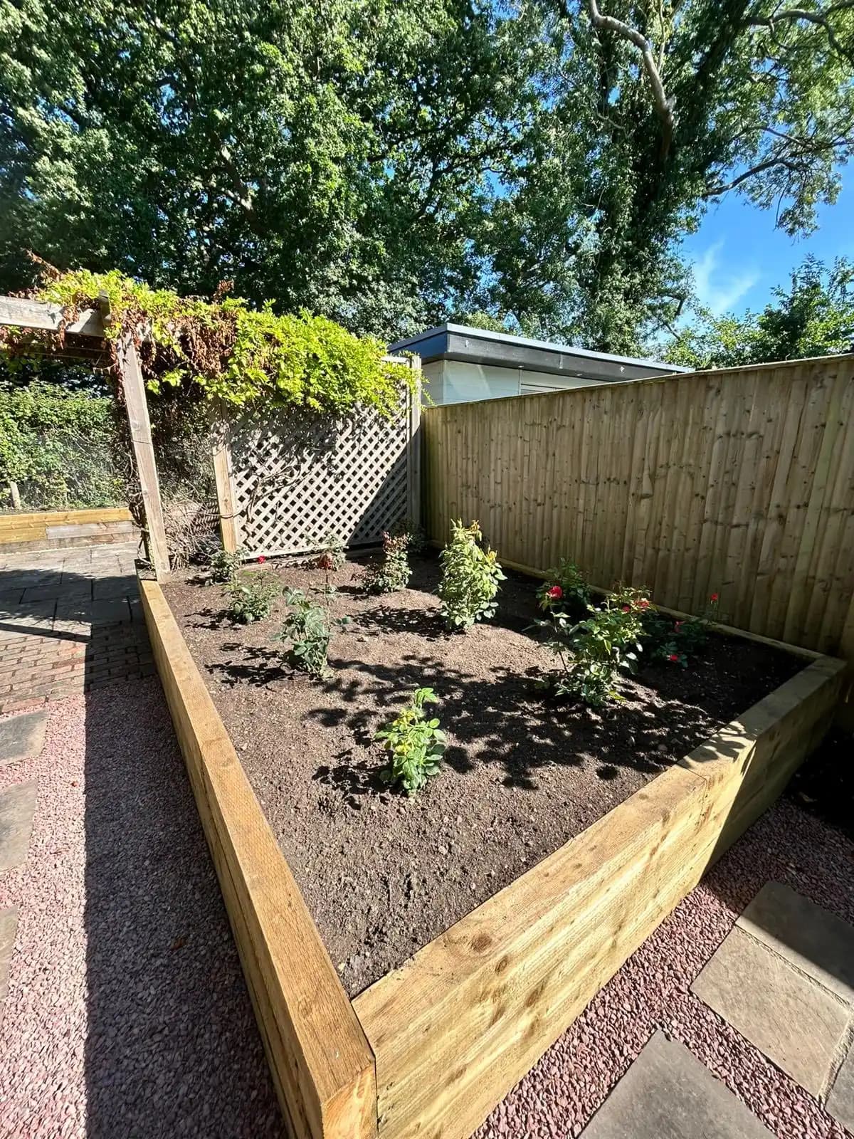Raised timber planting bed with roses, trellis screening and decorative gravel in a landscaped garden.