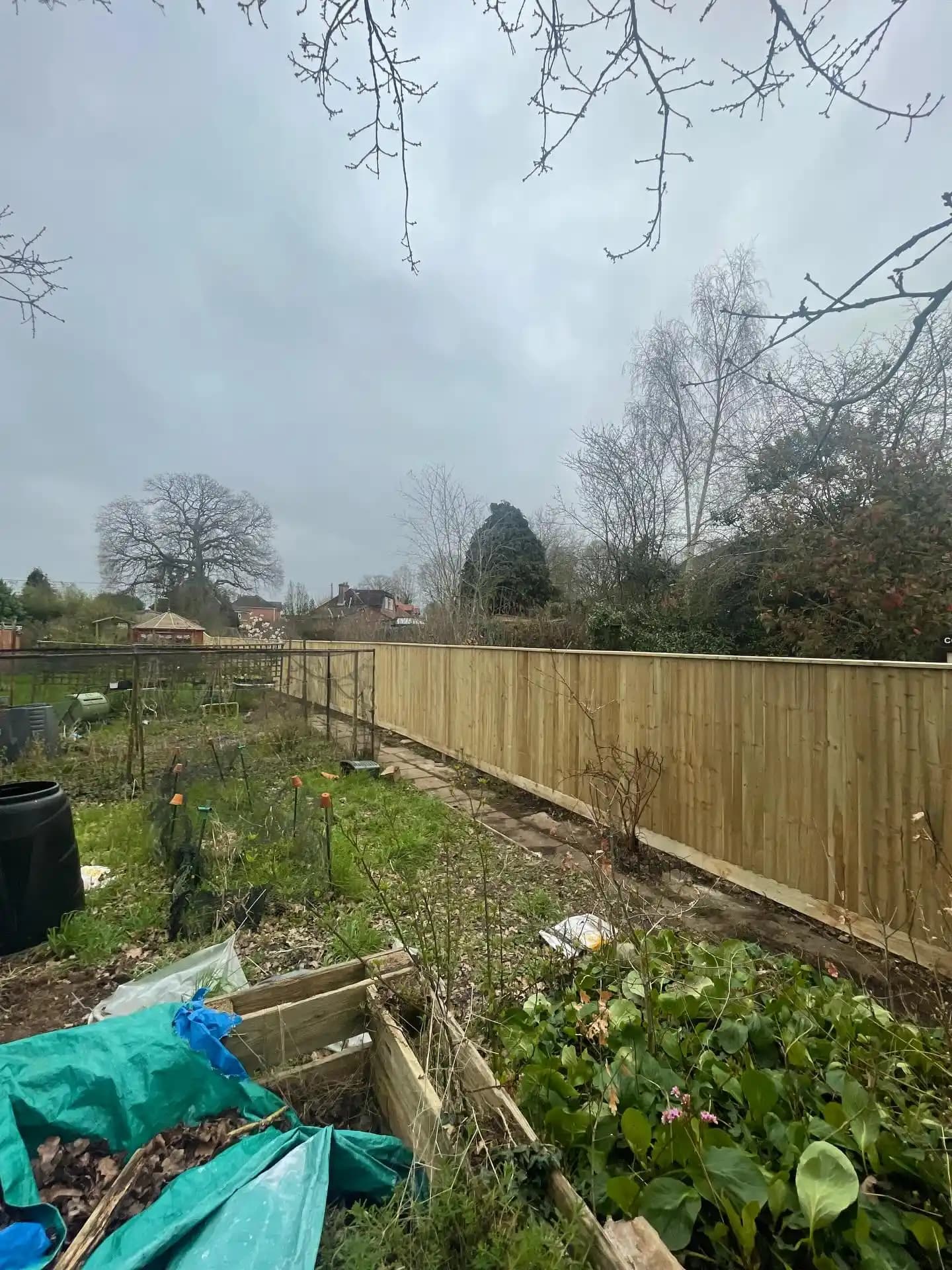 Fresh timber closeboard fencing installed along the edge of a garden with raised beds and vegetable planting.