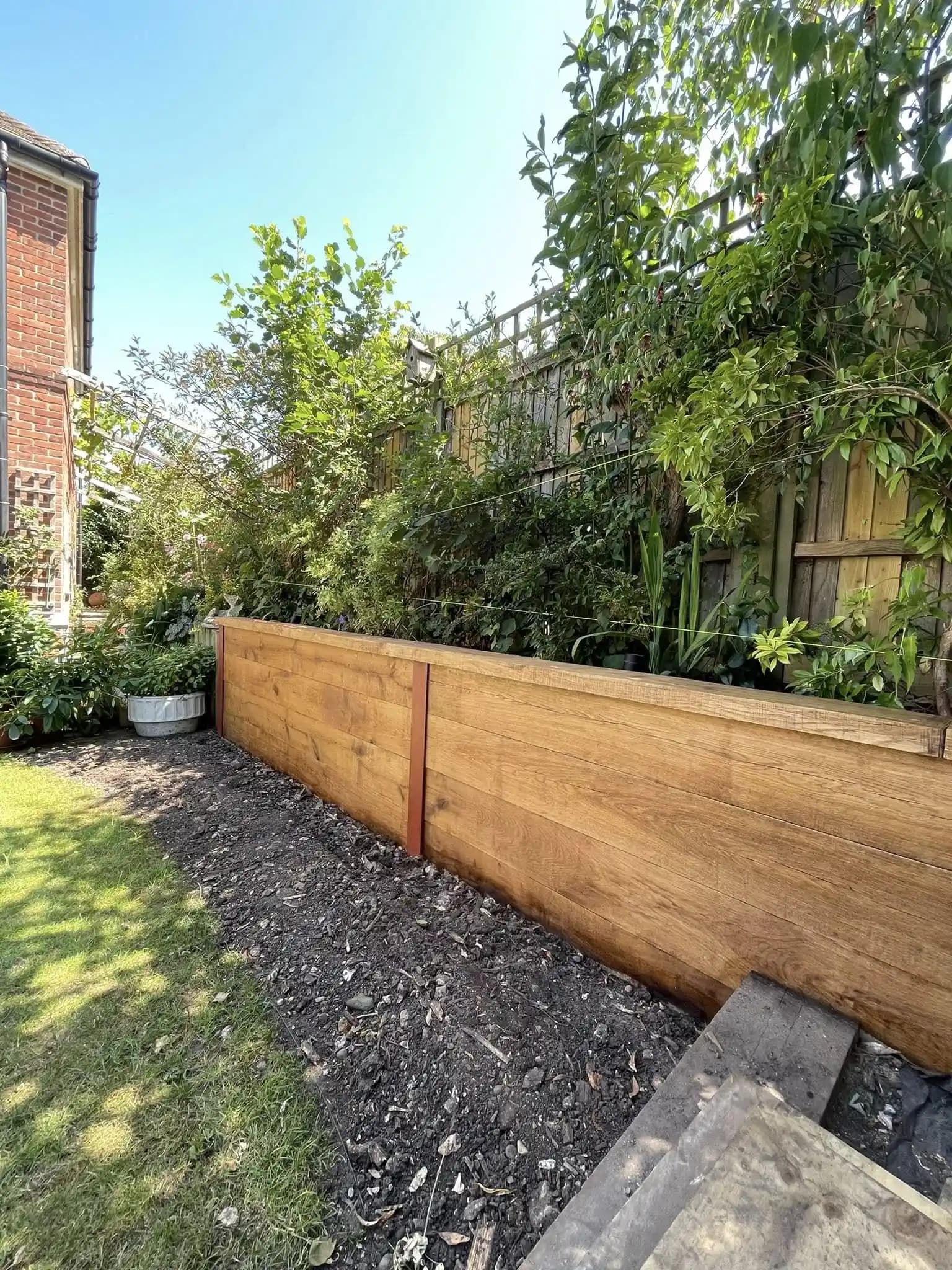 Raised timber sleeper wall and edged garden bed built around a mature birch tree.